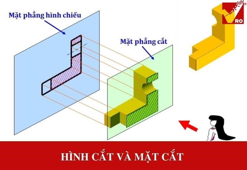 Tìm Hiểu Chi Tiết Về Các Loại Hình Cắt Trong Lập Trình