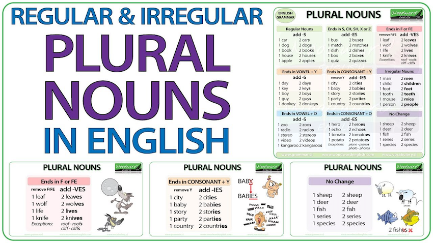 Bật mí Cách Hình Thành Plural Noun chi tiết 