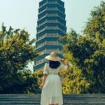 496177437 1384213440378481 1102213928241155897 N