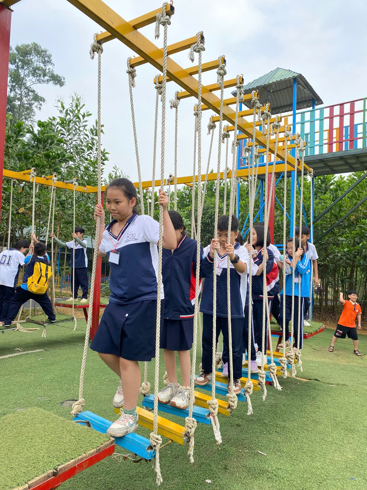 494795103 1375590841240741 9129631215389173498 N