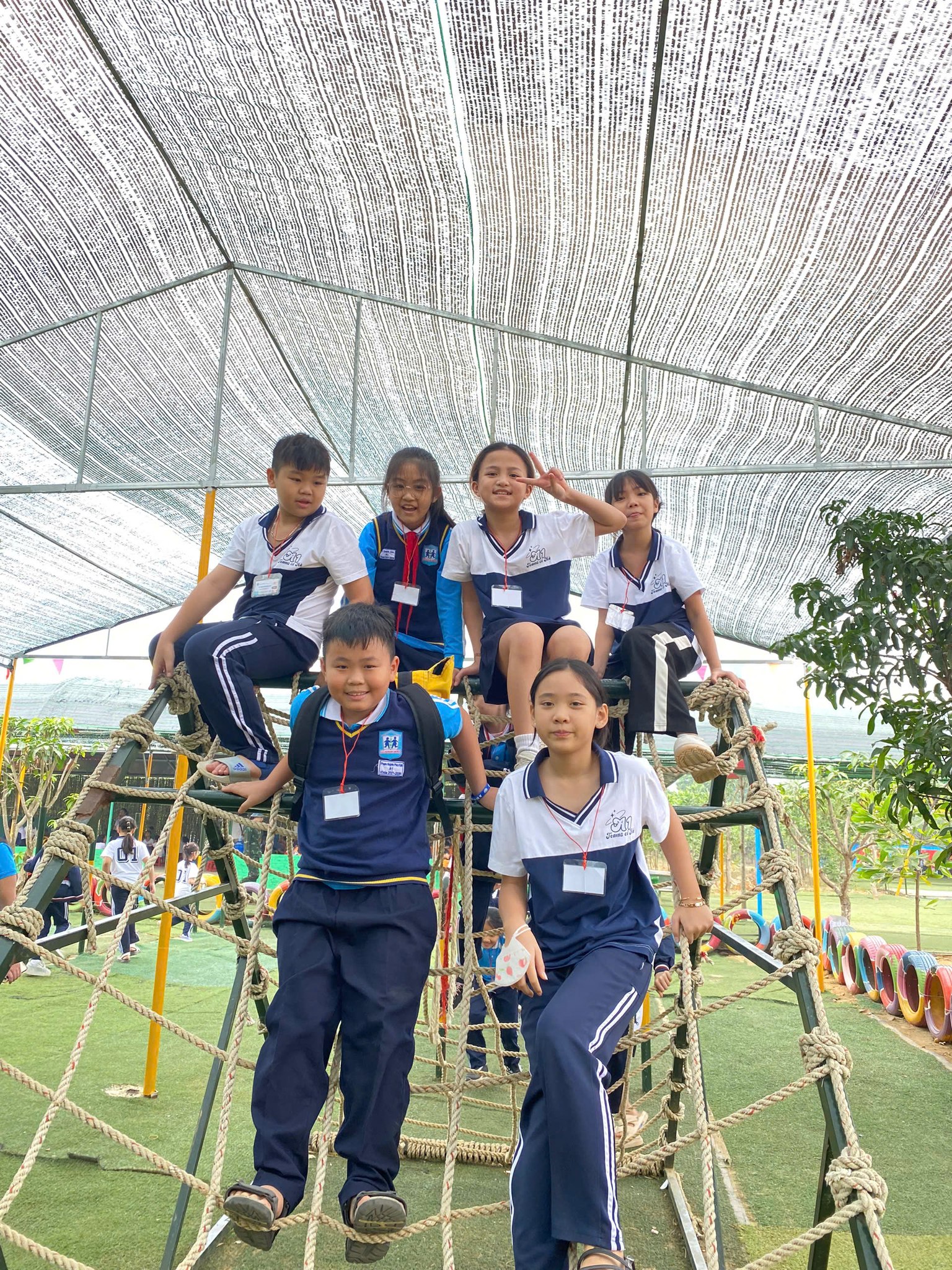 494984009 1375590864574072 1647117783886610030 N