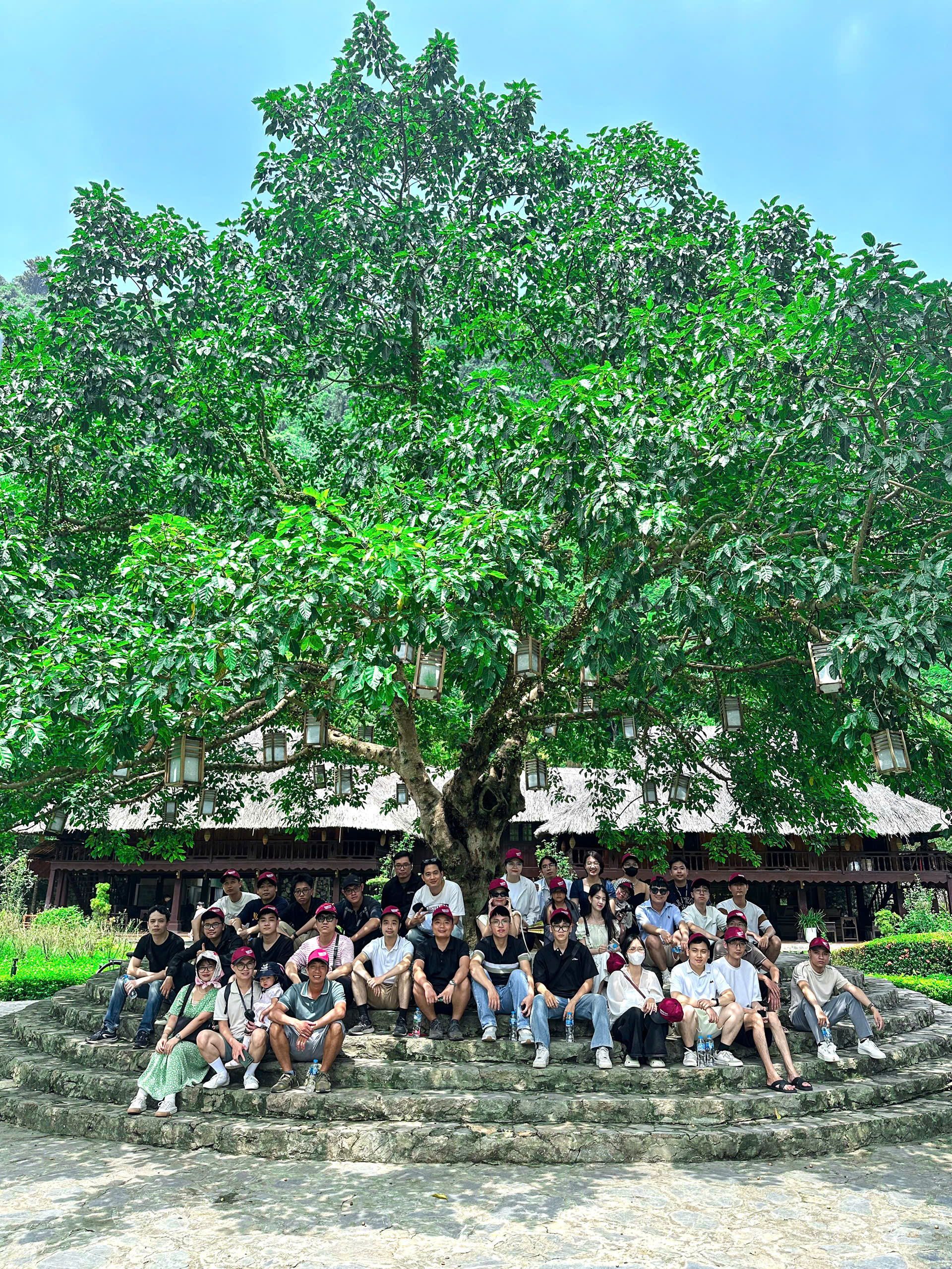 Z6845992379042 5abbc5e9e8499dd97752bee51f062eb7